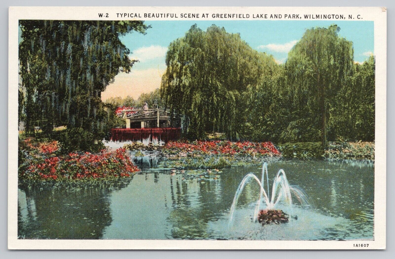 Postcard Greenfield Lake and Park, Wilmington, North Carolina Vintage