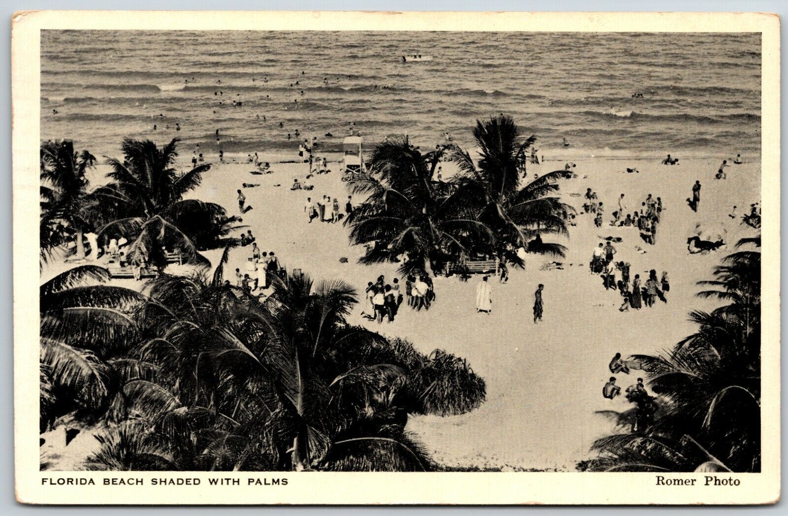 Florida Beach Shaded with Palms - Postcard