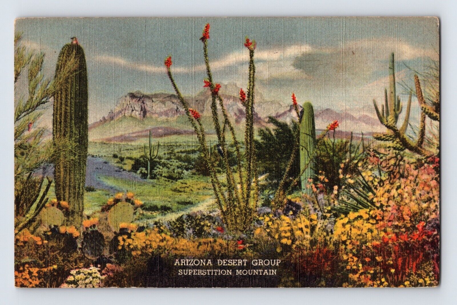 Postcard Arizona Superstition Mountain AZ Cactus Plants 1940s Unposted Linen
