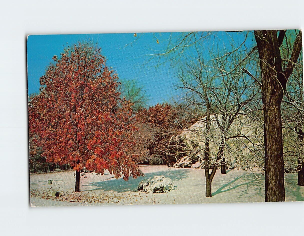 Postcard Winter Wonderland First Snowfall Vacationland Scene