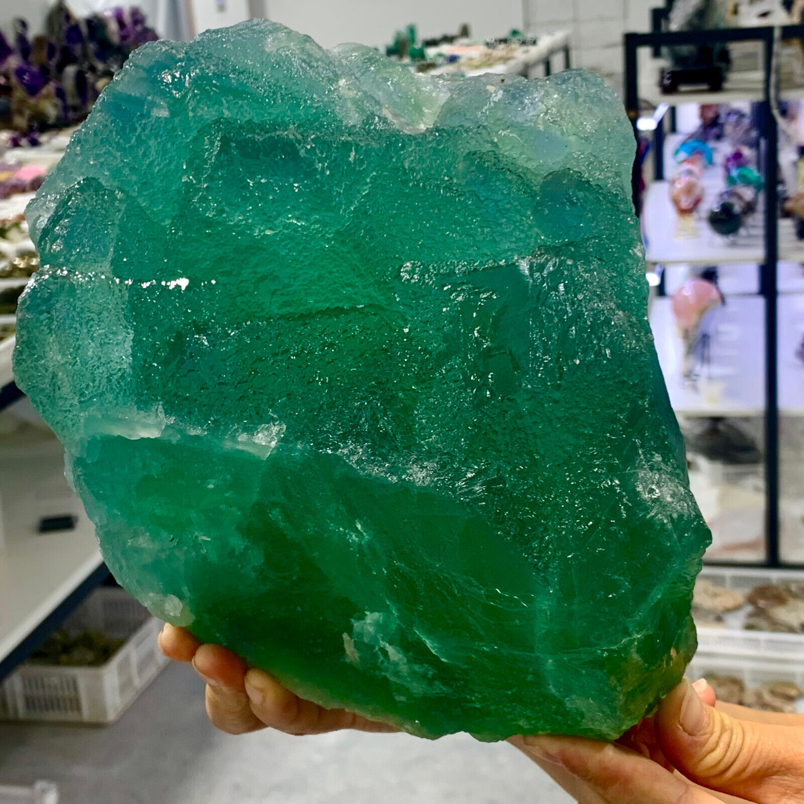 13.25LB Rare green cubic fluorite mineral crystal sample/China