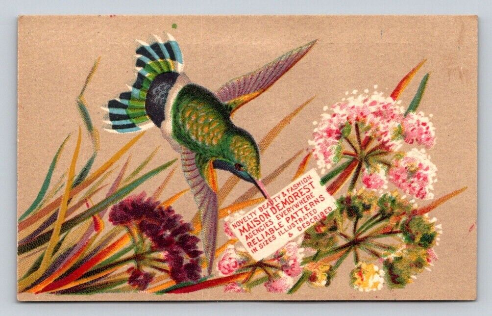 1880s Maison Demorest Patterns Monthly Magazine Hummingbird P29