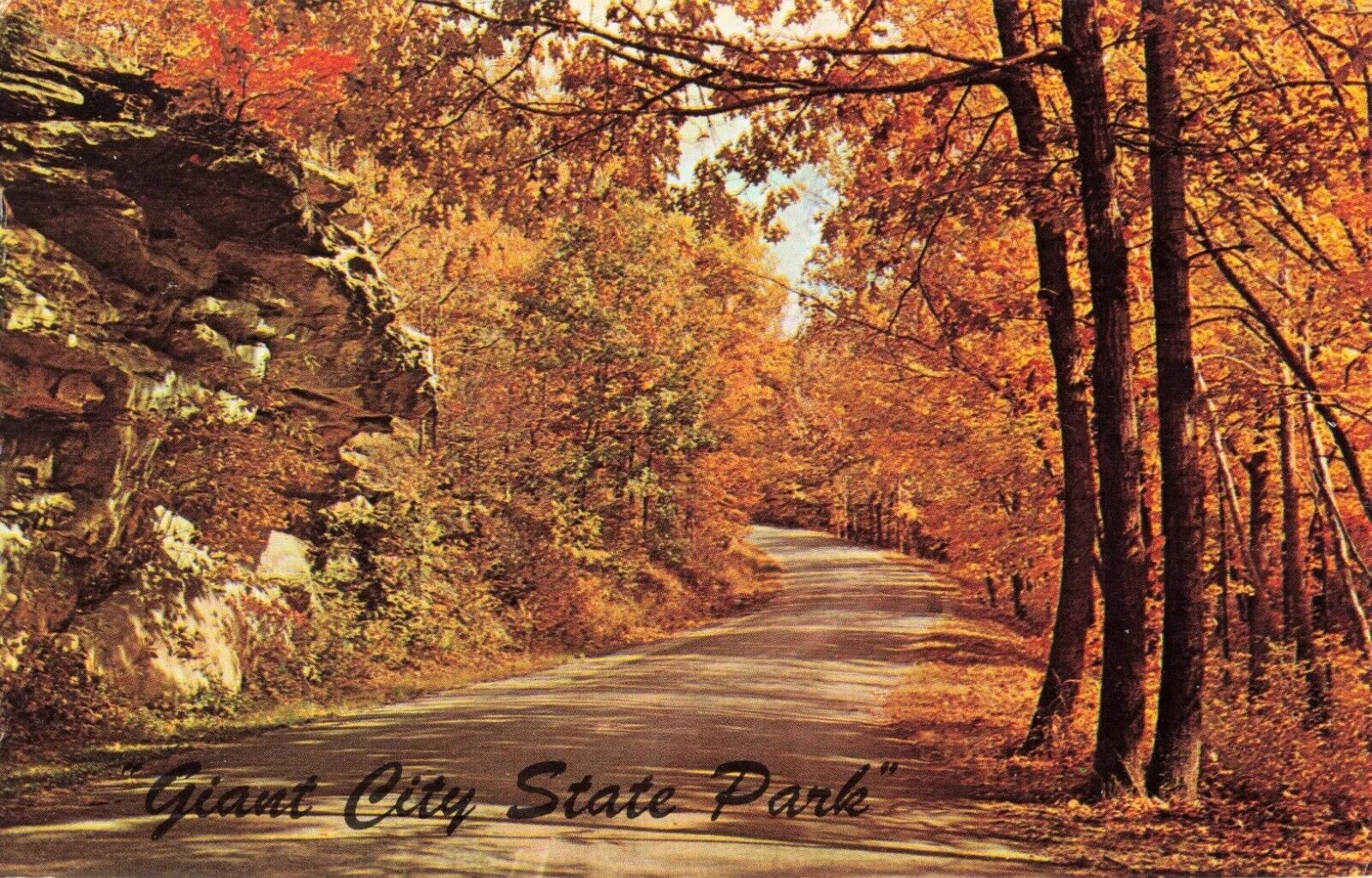 Road Through Giant City State Park - Fall Autumn Colors - Illinois IL - Postcard