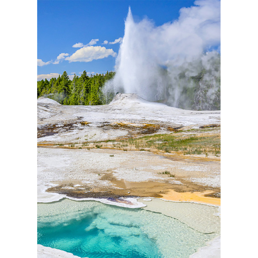 Yellowstone Heart Spring and Lion Geyser  - 3D Lenticular Postcard