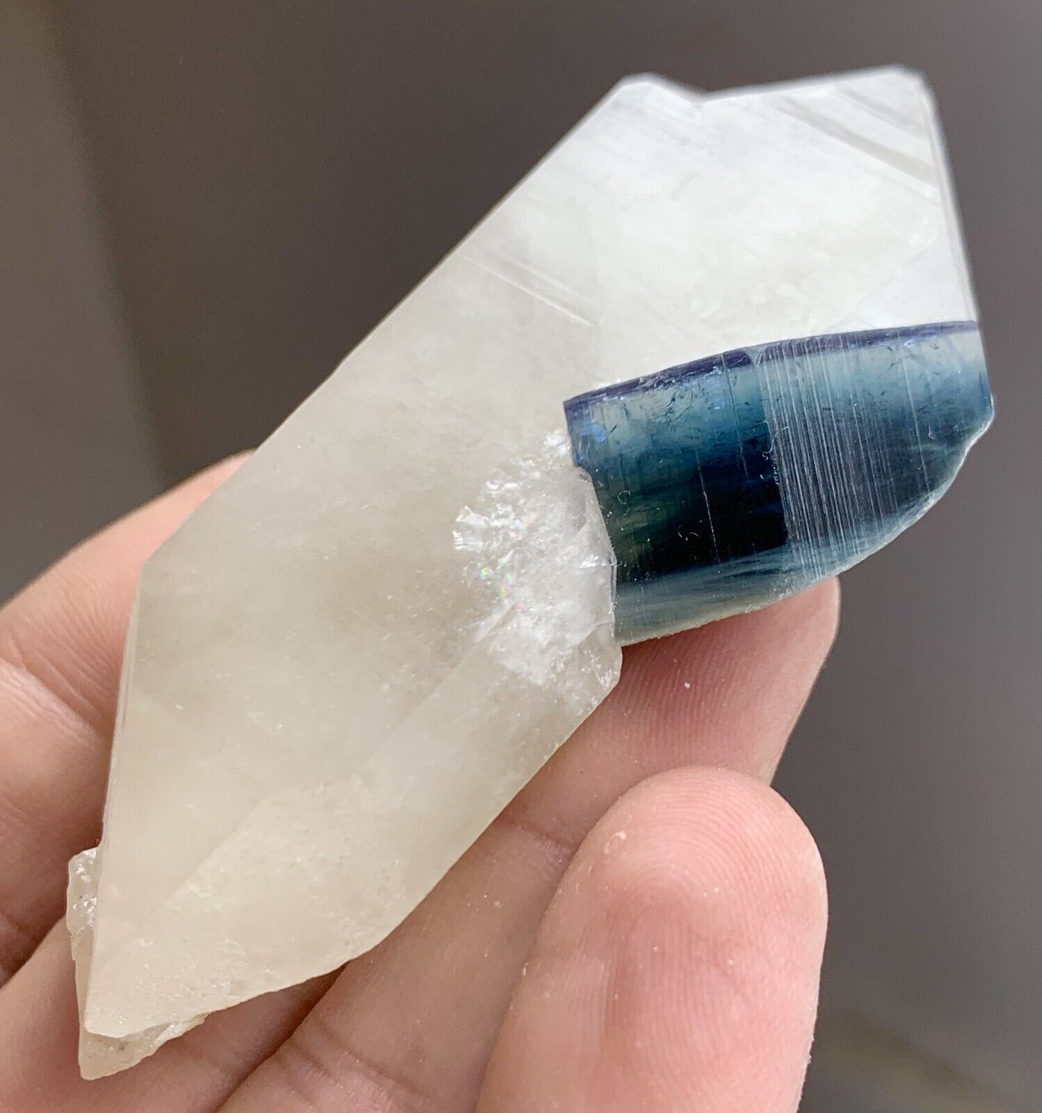 Very Beautiful Undamaged Full Terminated Tourmaline Crystal Specimen With Quartz