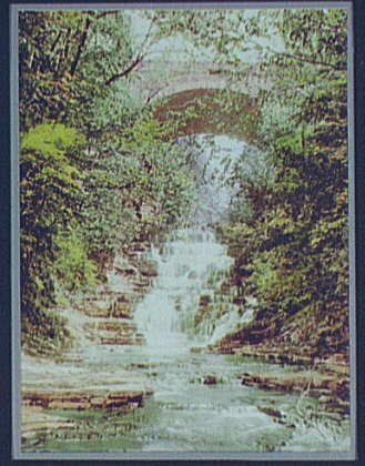 Cascadilla Gorge,waterfalls,rivers,creek,plants,rocks,Ithaca,New York,NY,c1901