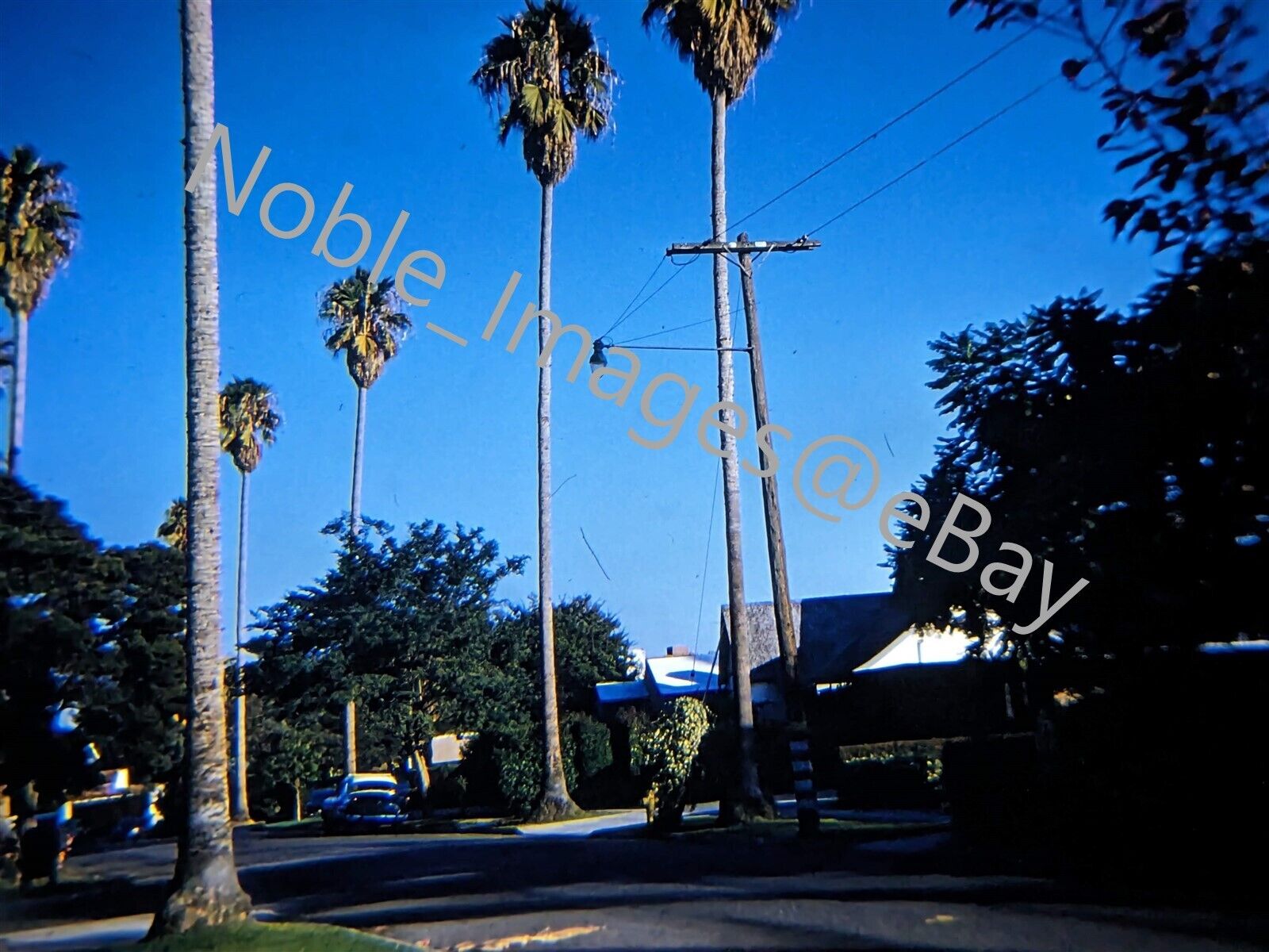 1959 Iconic Neighborhood Street Scene Los Angeles Kodachrome 35mm Slide