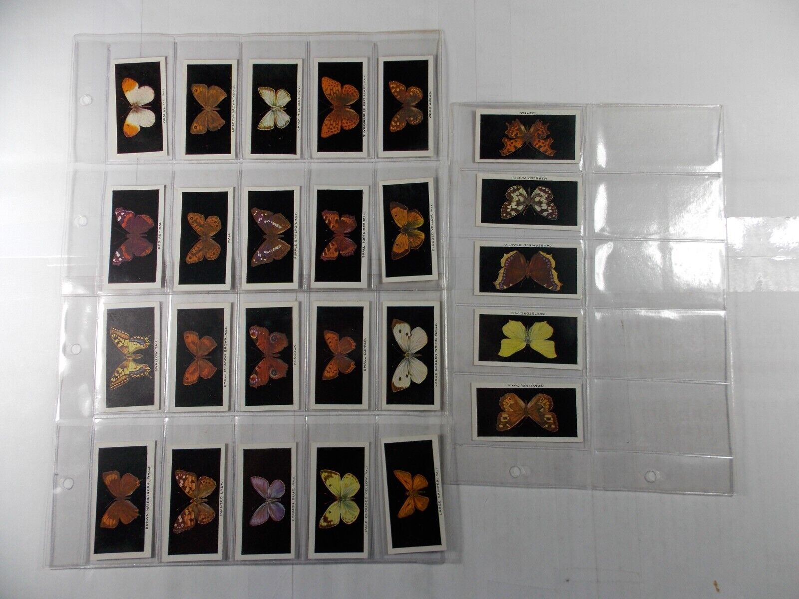 Abdulla Cigarette Cards British Butterflies 1935 Complete set 25 in Pages