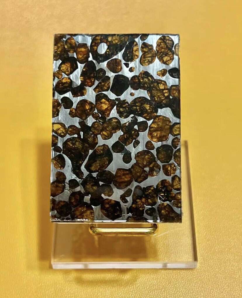 Rare SERICHO pallasite Meteorite slice - from Kenya Beautiful Meteorites