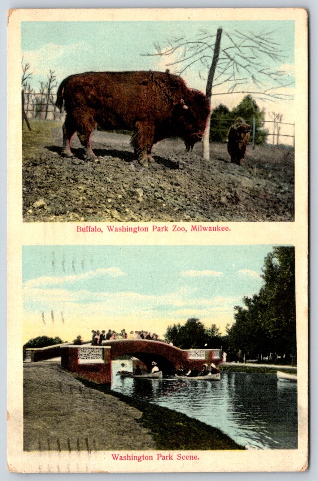 Postcard Buffalo, Washington Park Zoo And Park Scene Milwaukee WI Posted 1909