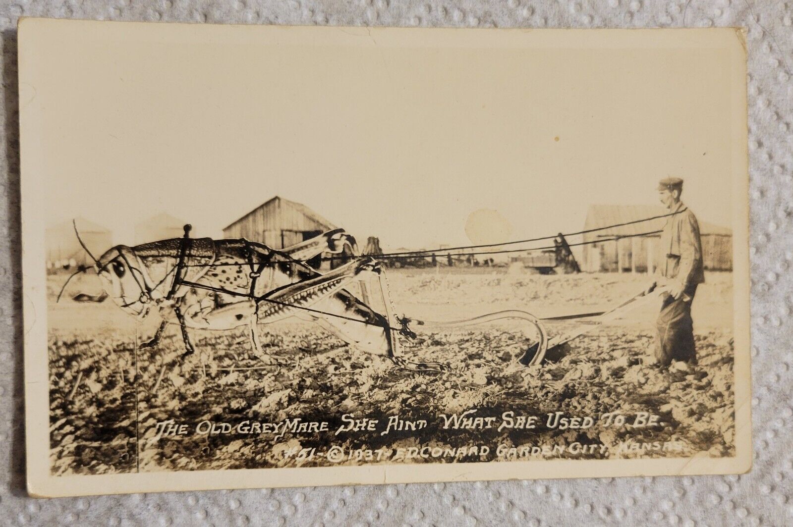 Vintage Exaggeration Postcard Garden City Kansas Giant Grasshopper Plow KB1