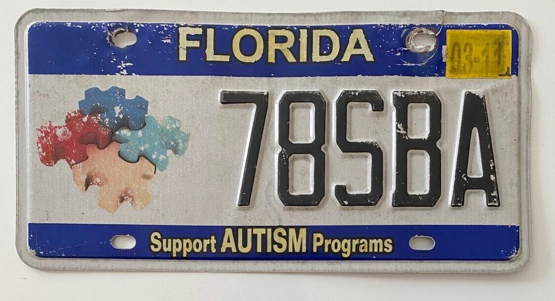 Florida 2011 SUPPORT AUTISM PROGRAMS GRAPHIC License Plate # 78SBA