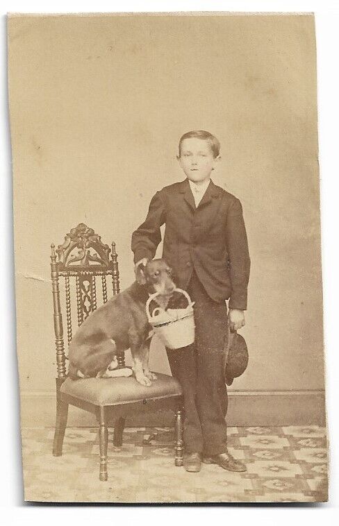 1870s CDV Wonderful Image Small Boy with Dog Doing Trick - Moore Bellfonte PA