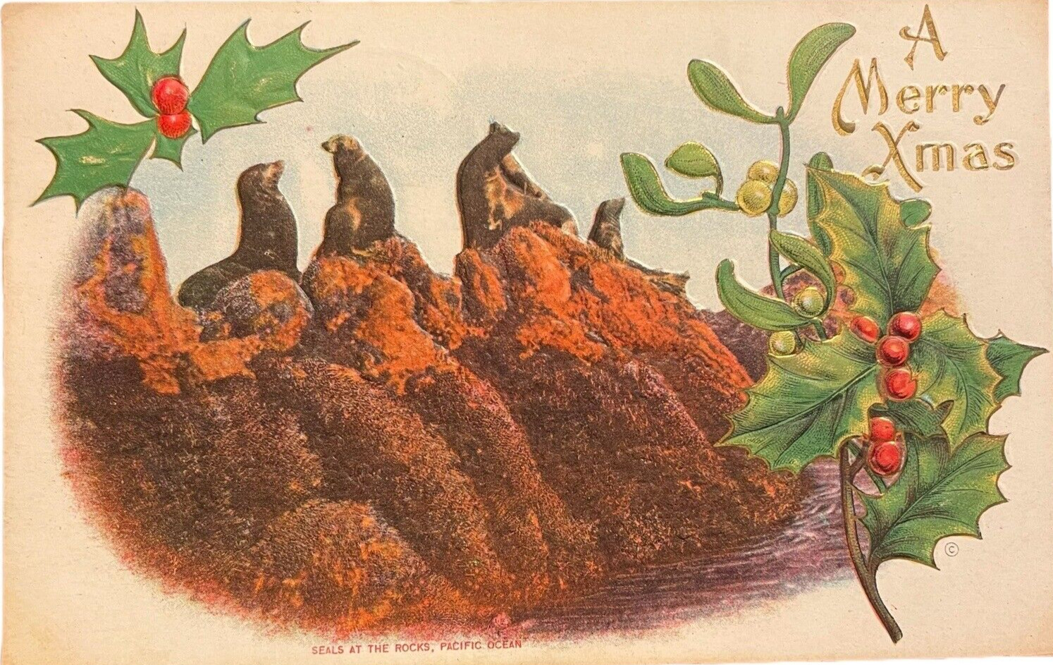 Christmas Seals At The Rocks Pacific Ocean Selma CA Calif DB 1912 EMB Postcard