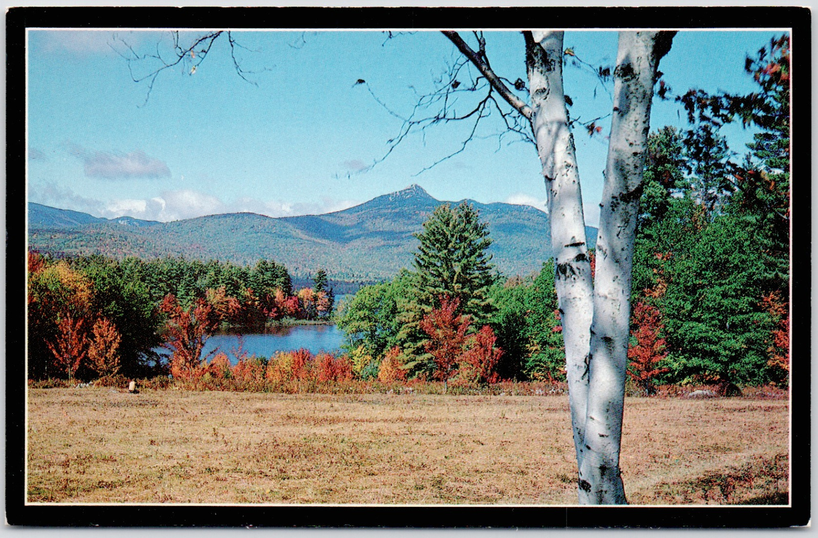 Albany New Hampshire Chocorua Lake White Mountains Picturesque Vintage Postcard