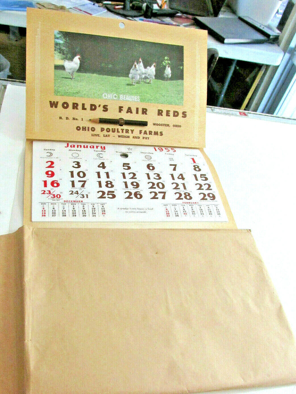 1955 WOOSTER OHIO Adv Calendar Ohio Poultry Farms World\'s Fair Reds Chickens Hen