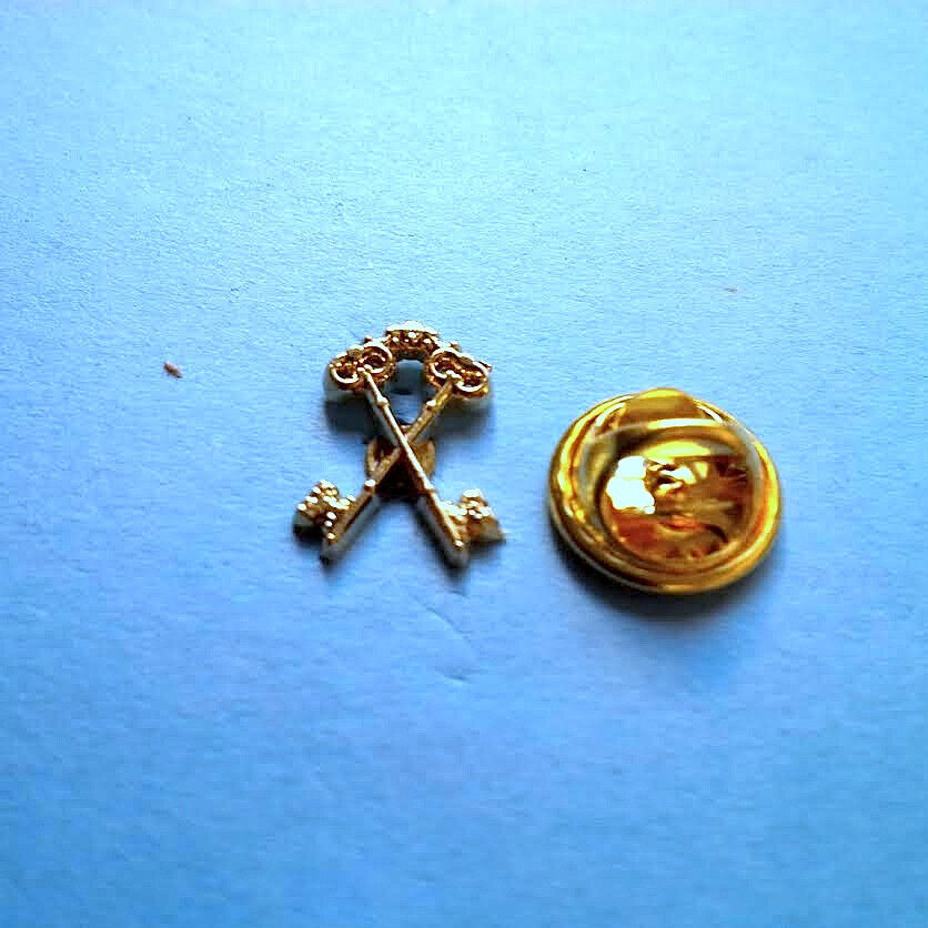  Treasurer  Blue Lodge  Small Pin Golden Finish NMS