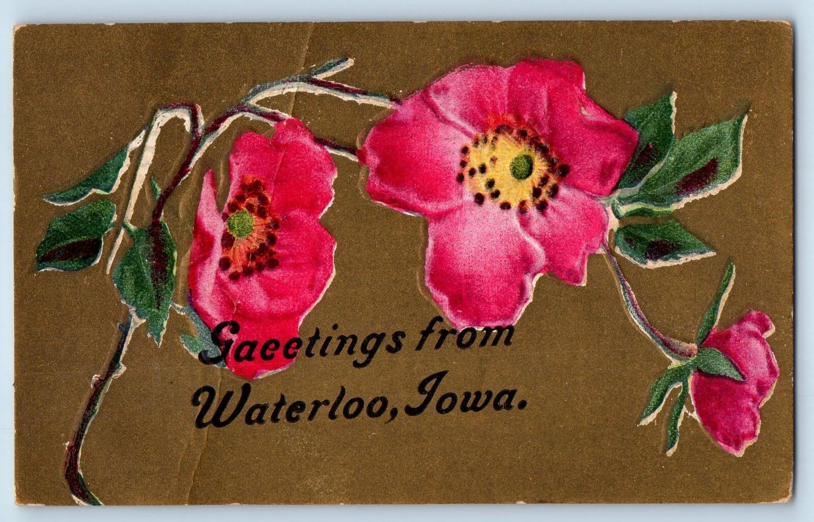 Waterloo Iowa IA Postcard Saeetings Embossed Flowers And Leaves 1911 Antique