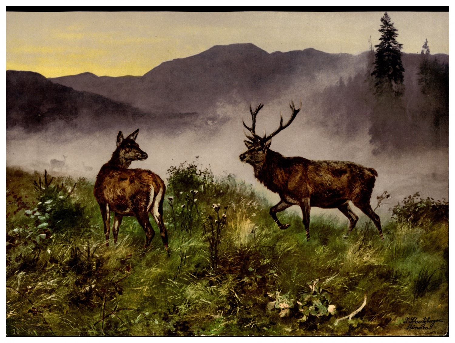 Vintage Deer and Deer (After Painting) Photochrome, Photochromy, vi