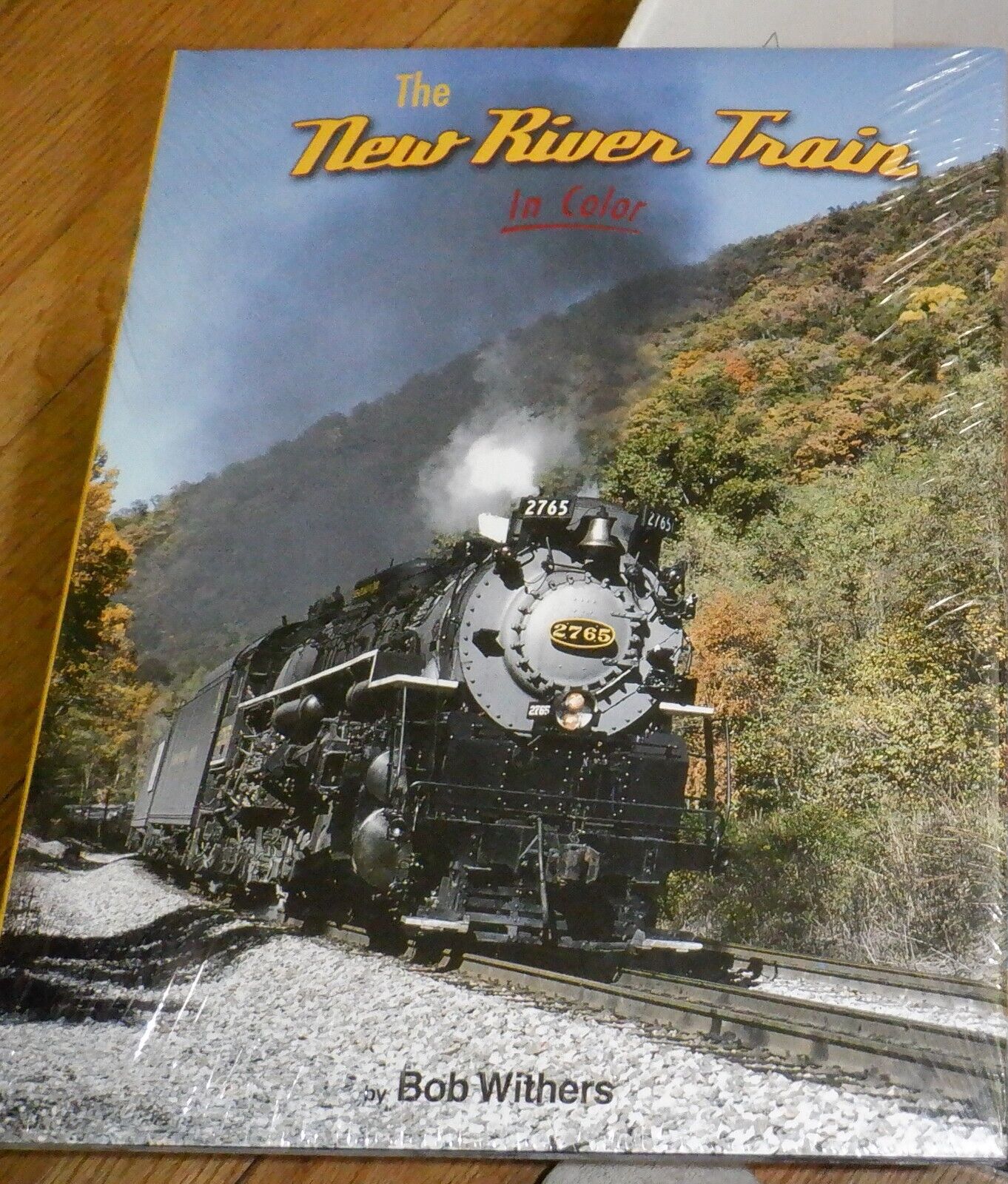 The New River Train by Withers   - Morning Sun Books