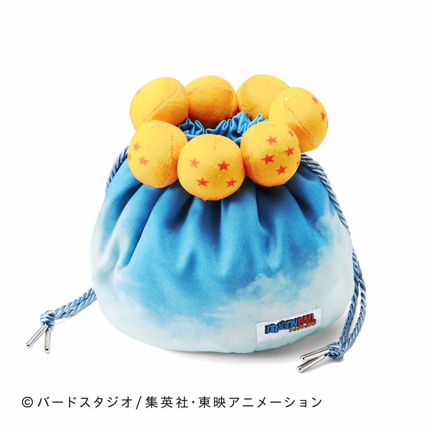 [NEW] Dragon Ball Shenlong kinchaku pouch Bag limited From Japan pre-order