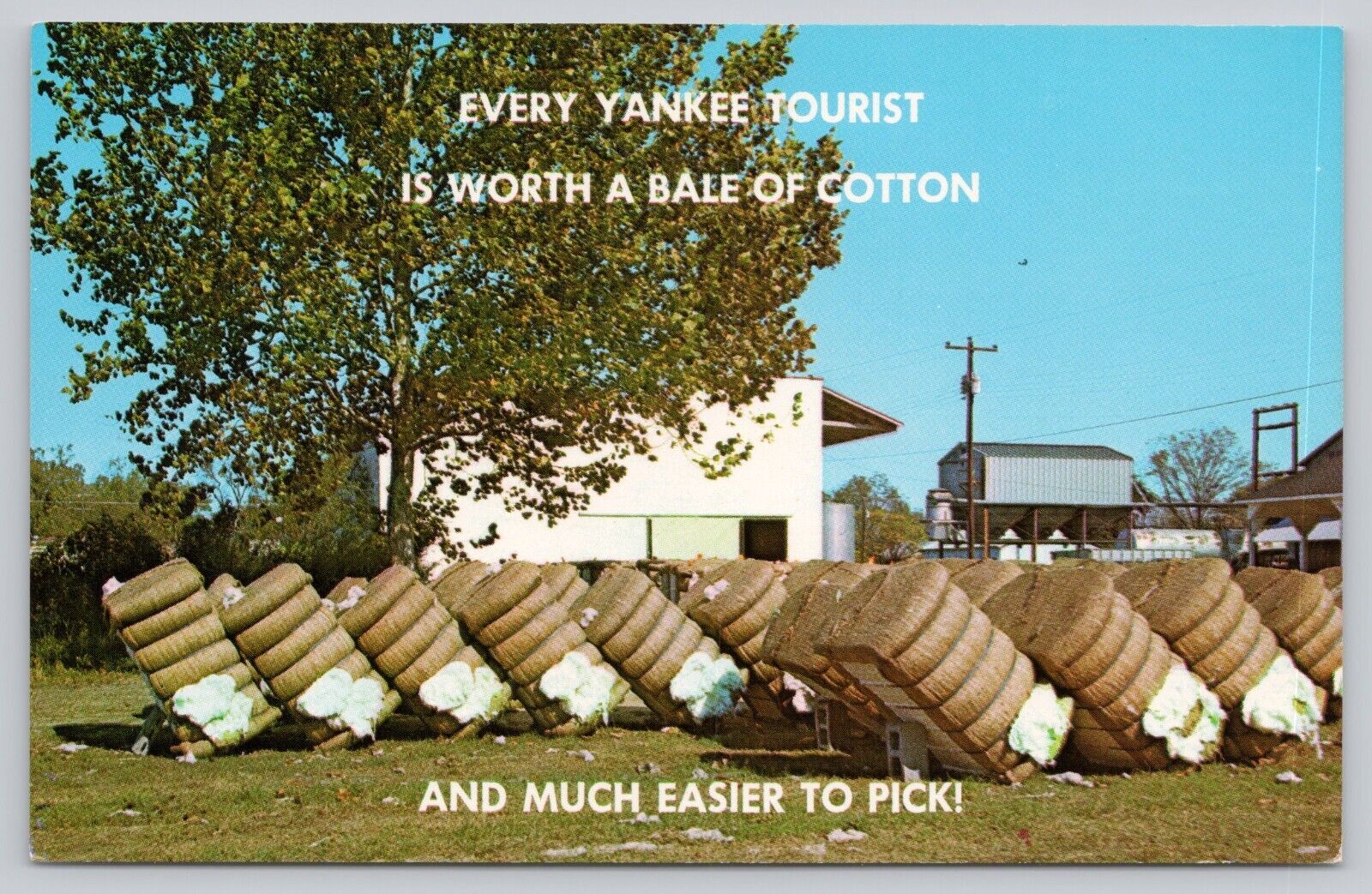 Postcard Every Yankee Tourist is Worth a Bale of Cotton Novelty