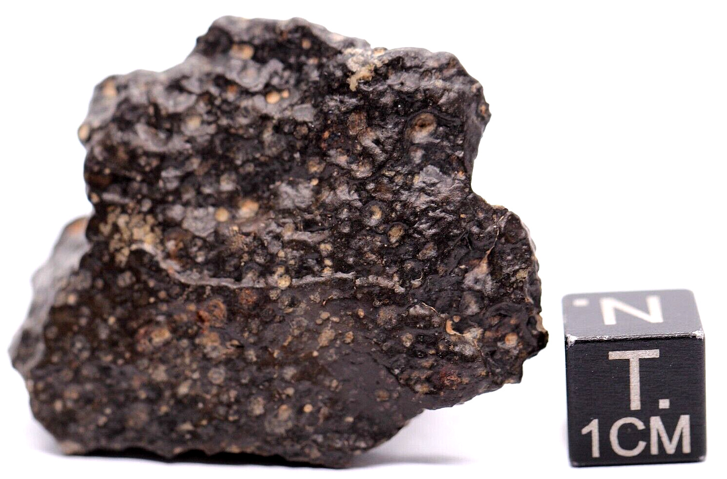 Meteorite NWA 16449 CVOX3 CARBONACEOUS, CAI RICH METEORITE, 20 GRAMS