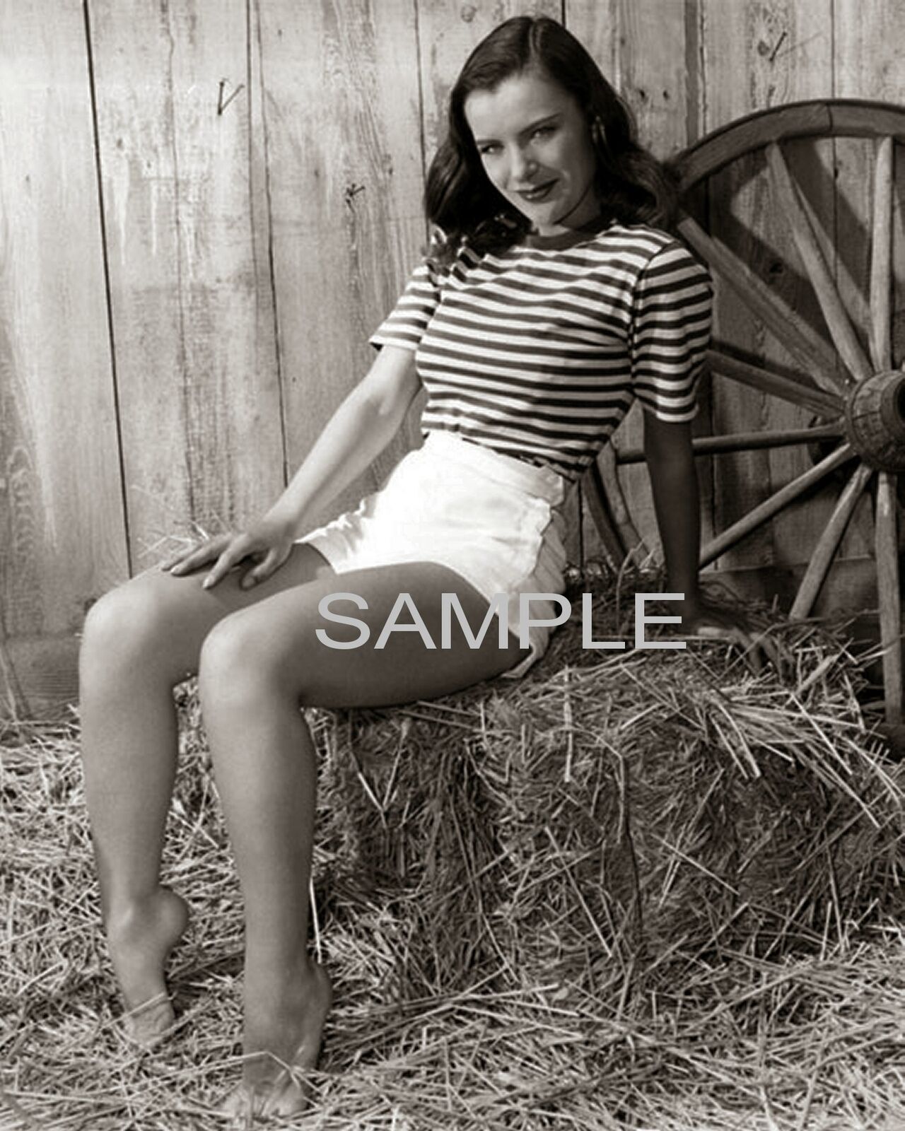 Leggy ELLA RAINES Sitting on a Hay Stack PHOTO (156-y )