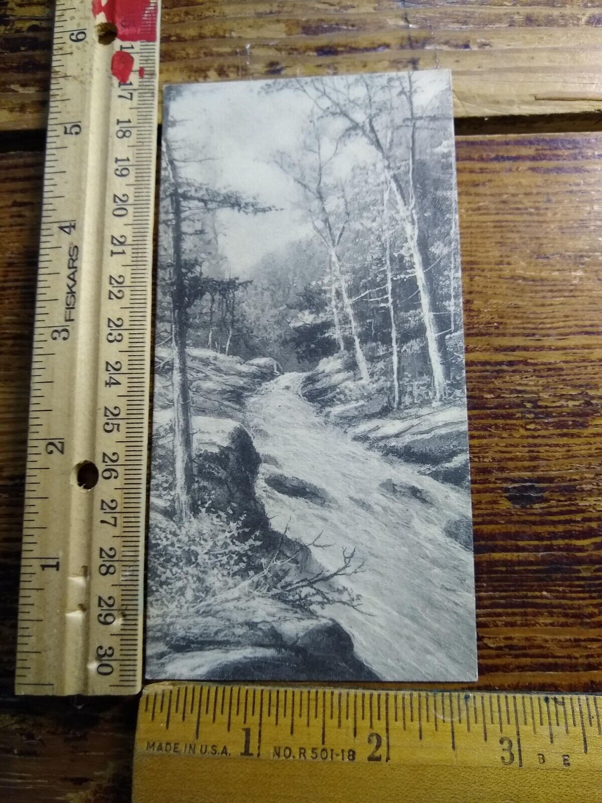 Postcard - Vintage Picture of a Stream - Landscape - Nature - Trees