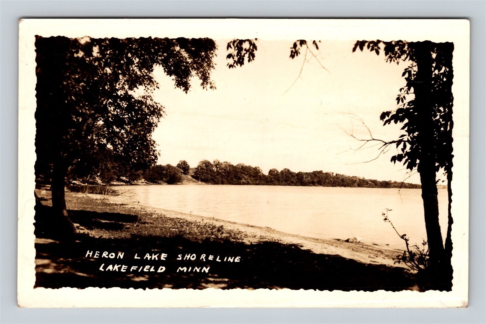 c1909 RPPC Heron Lake Shoreline Lakefield MN Minnesota Real Photo Postcard