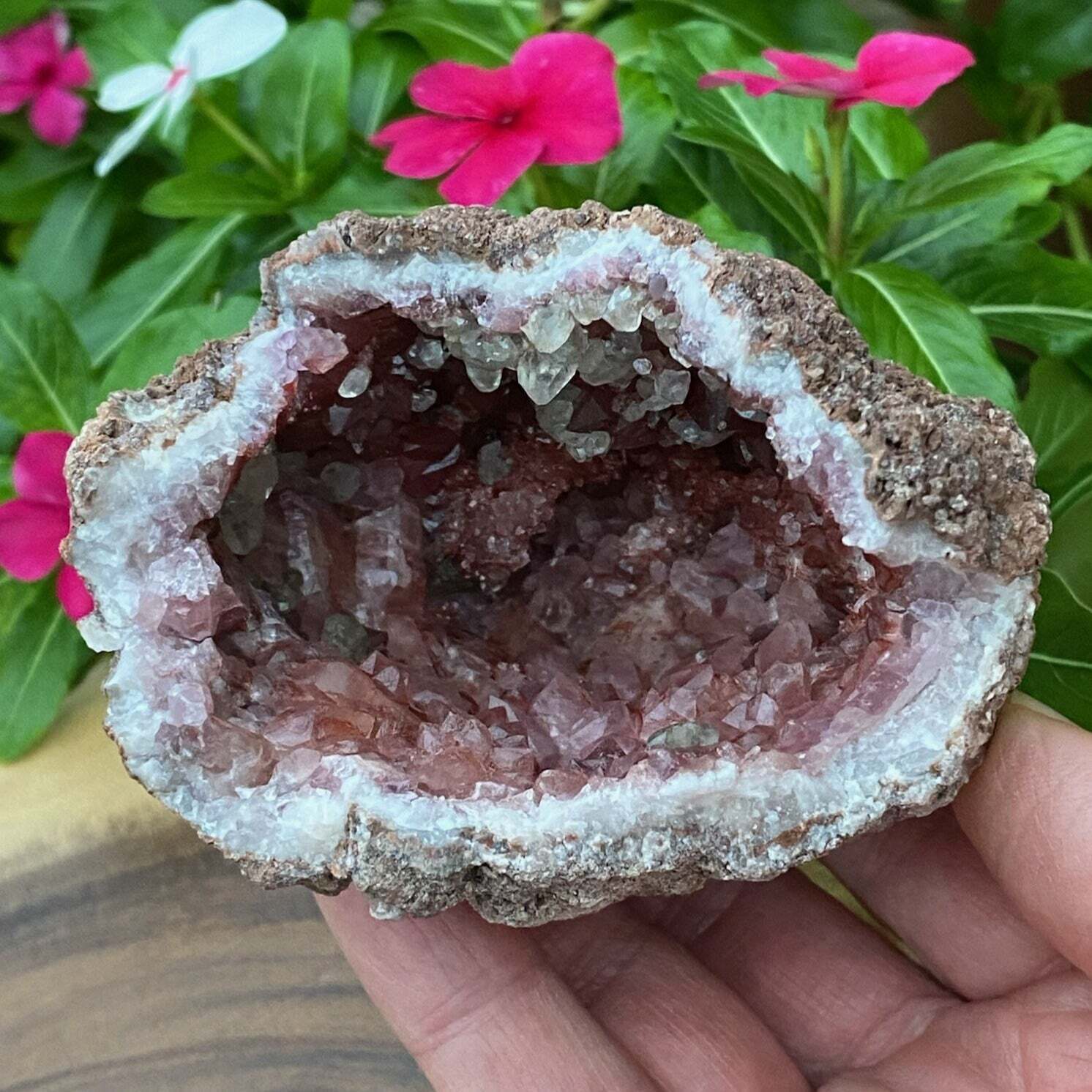 Exceptional Cavernous High Quality Pink Amethyst Crystal Geode | 273 grams