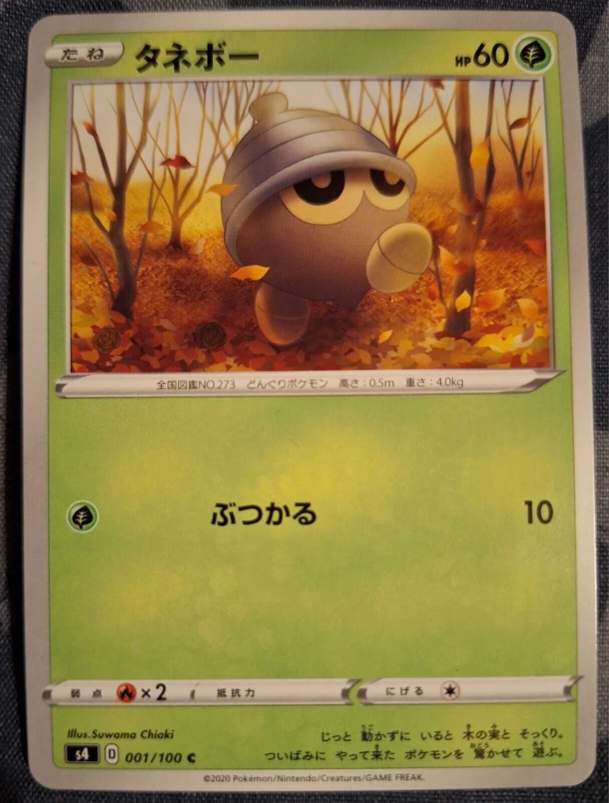 Pokémon Cards: Seedot | 1/100 | Common Regular | Amazing Volt (JP) - Pokémon TCG