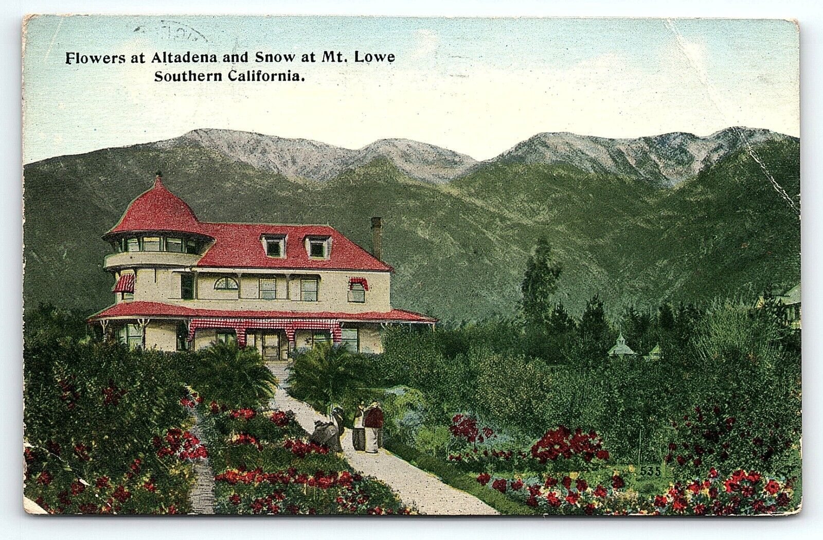 1913 SOUTHERN CALIFORNIA FLOWERS AT ALTADENA SHOW AT MT LOWE POSTCARD P3571
