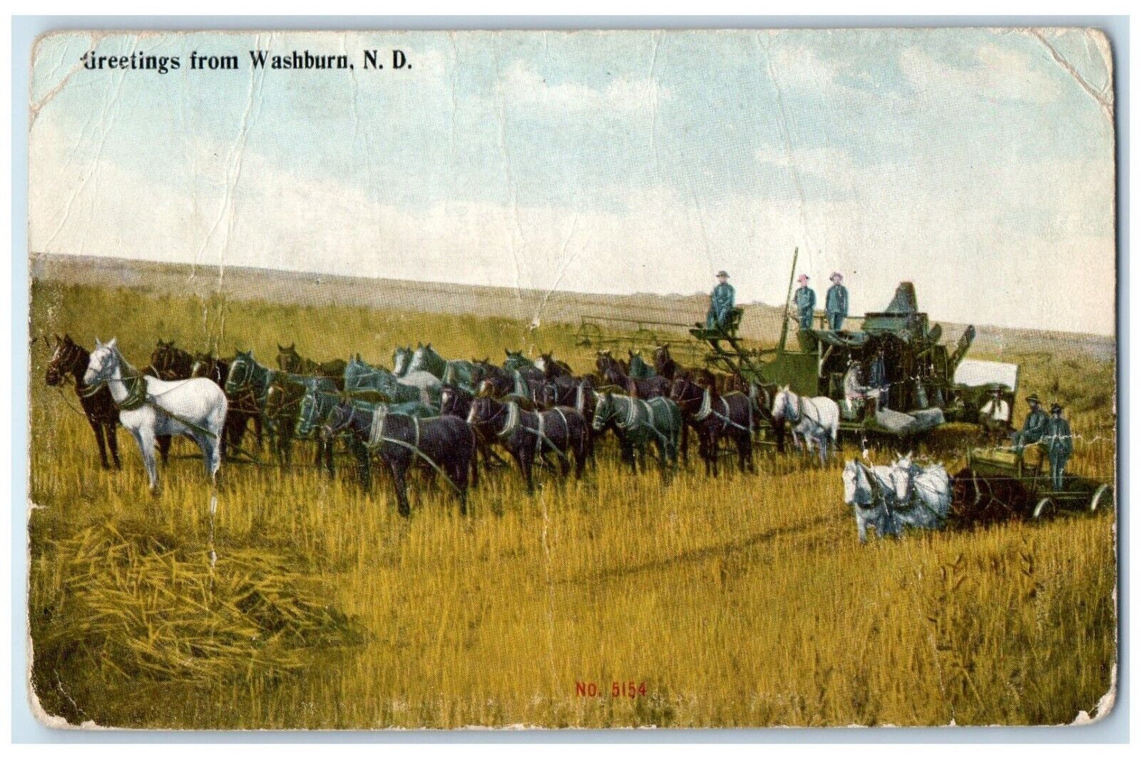c1910 Greetings From Horse Carriage Field Washburn North Dakota Vintage Postcard
