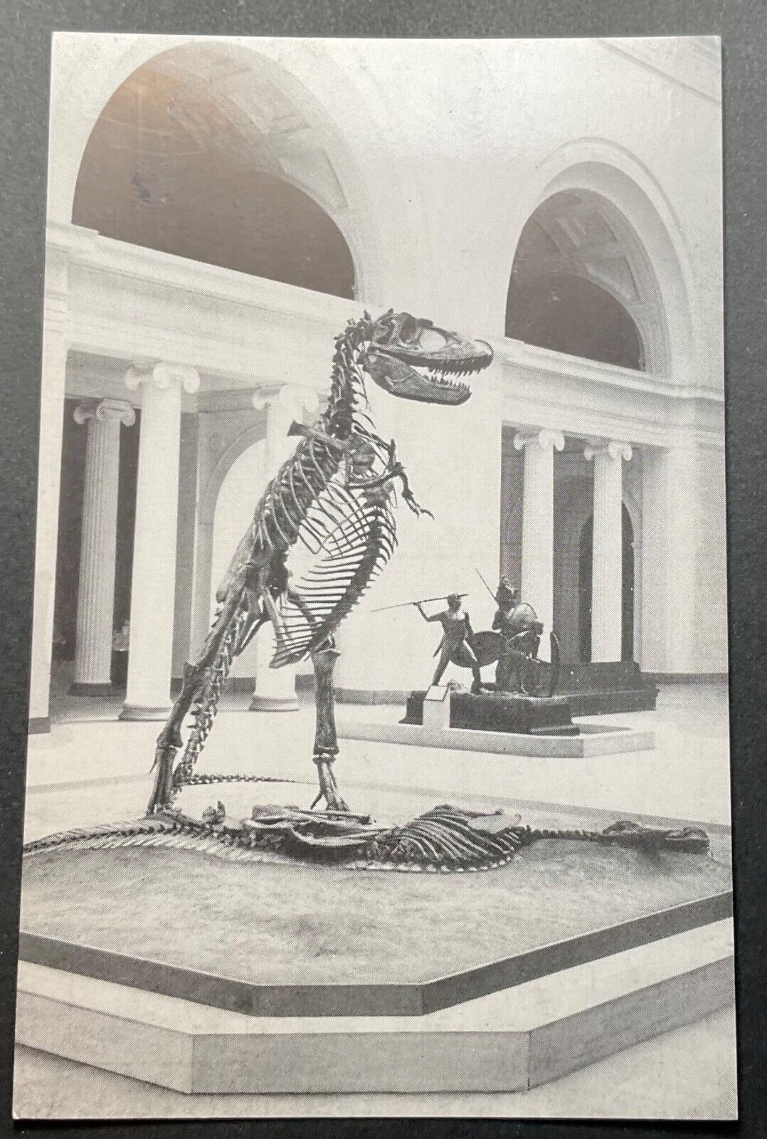 Chicago Illinois IL Postcard Chicago Natural History Museum Dinosaur