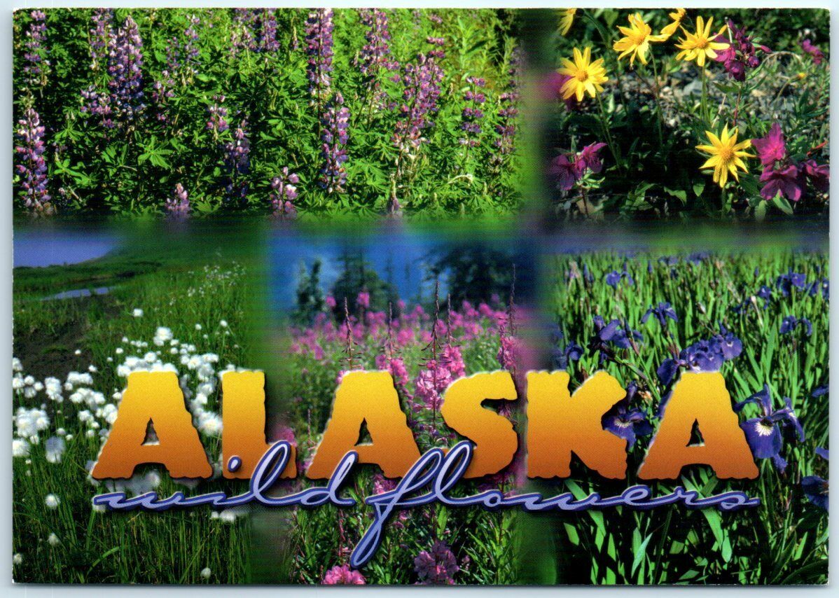 Postcard - Alaska Wild Flowers