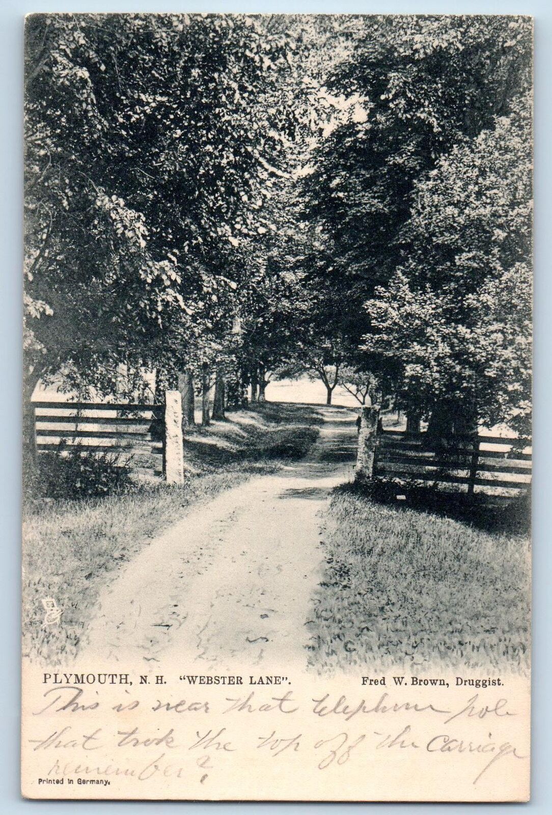 1906 Plymouth New Hampshire NH Webster Lane Dirt Road Trees Antique Postcard