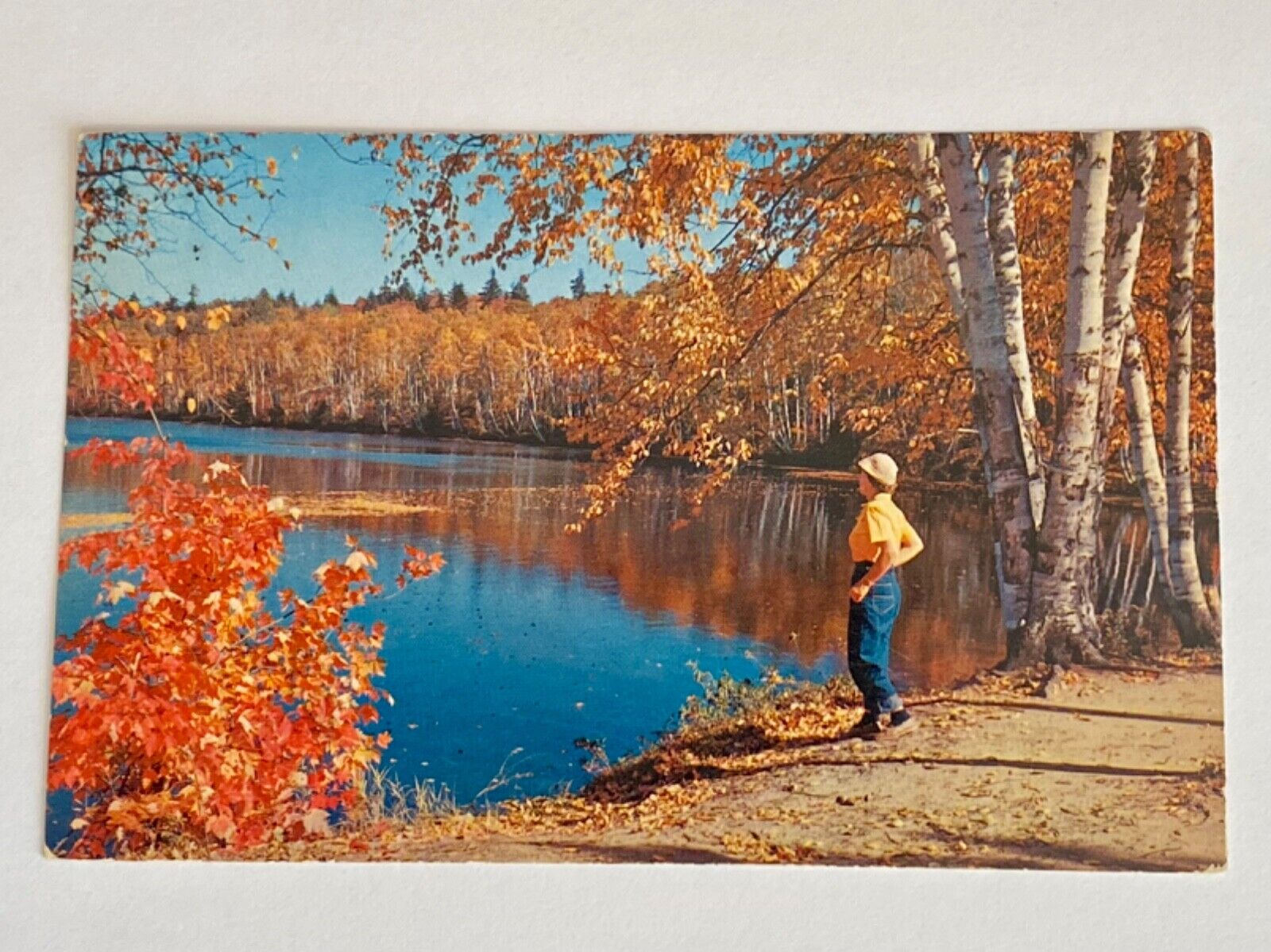 Postcard Woman at Lake - Posted 1968 - West Haven, CT F.D.R. 6c Stamp