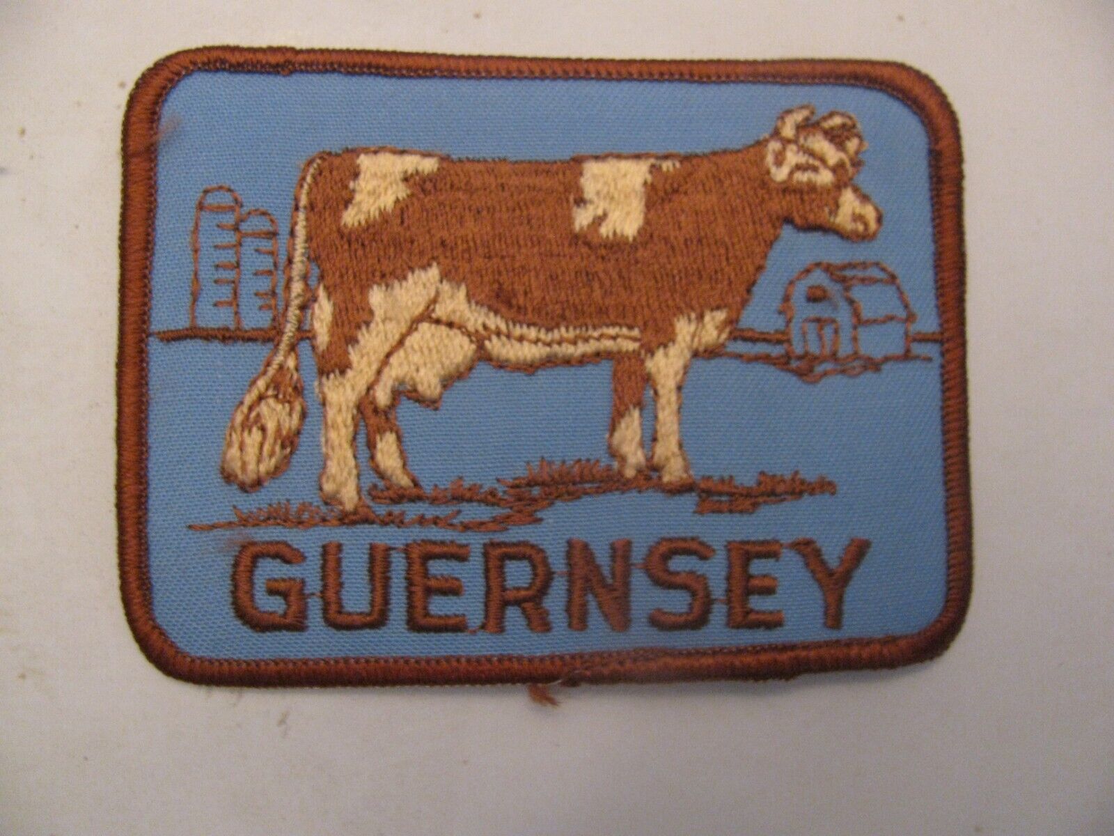 VTG  GUERNSEY  COW  FARMING  DAIRY  AGRICULTURE   4\