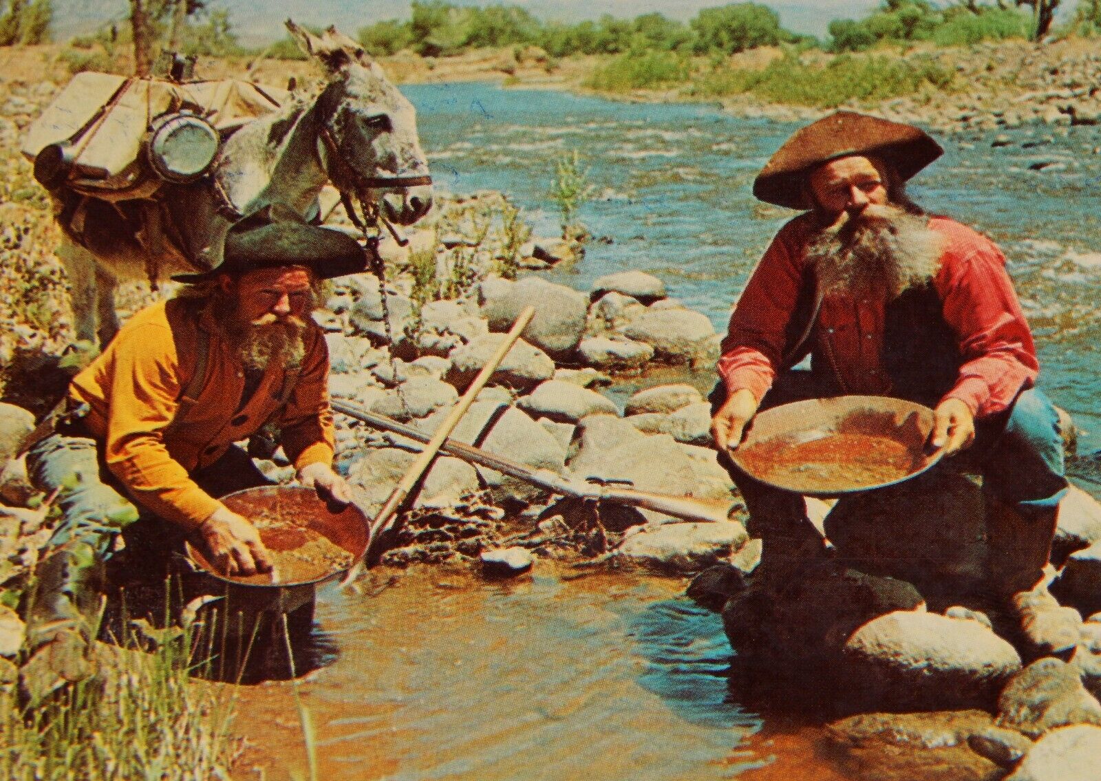 Vintage Postcard, SACRAMENTO, CA, 1972, Prospectors Panning For Gold, Mule