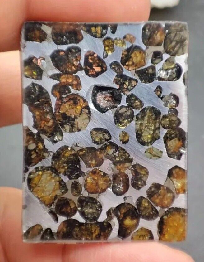 8.17g Rare SERICHO Kenya Pallisite Meteorite MUSEUM QUALITY 🌟