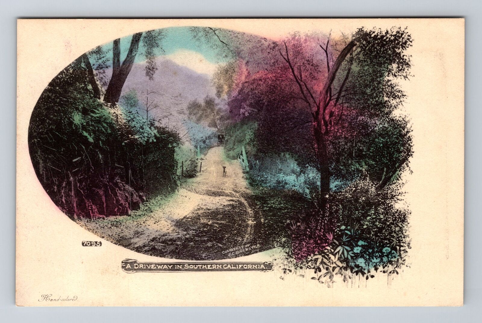 Southern California CA-California, Country Driveway, Antique Vintage Postcard