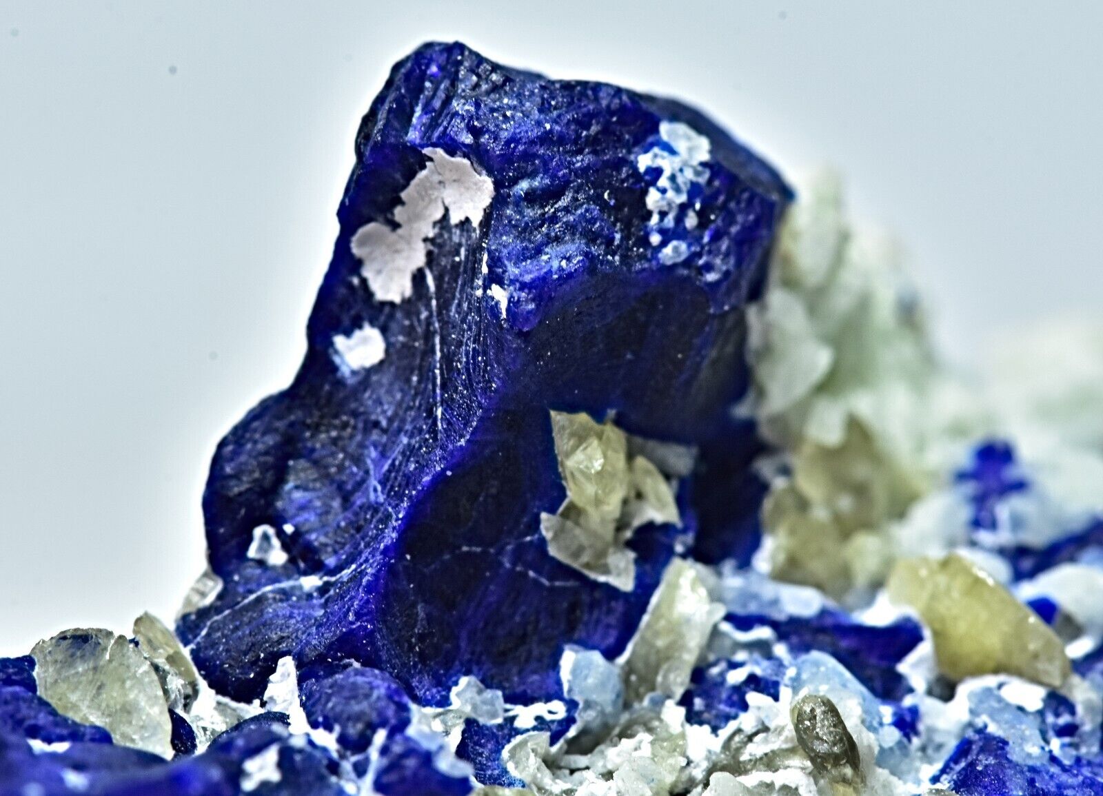 26 Gram Sodalite Specimen with Titanite Sphene Crystals & Scapolite On Matrix