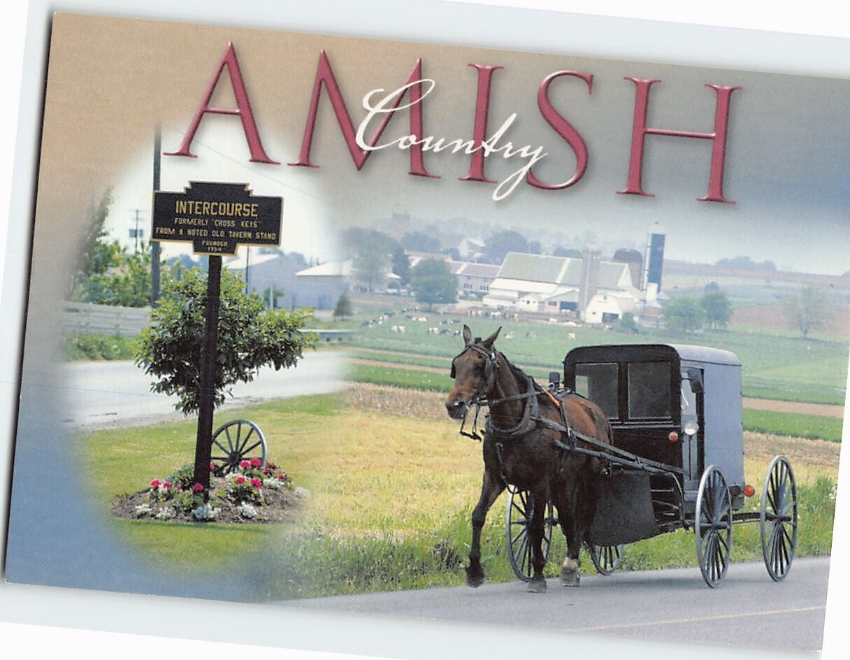 Postcard Amish Country Pennsylvania USA
