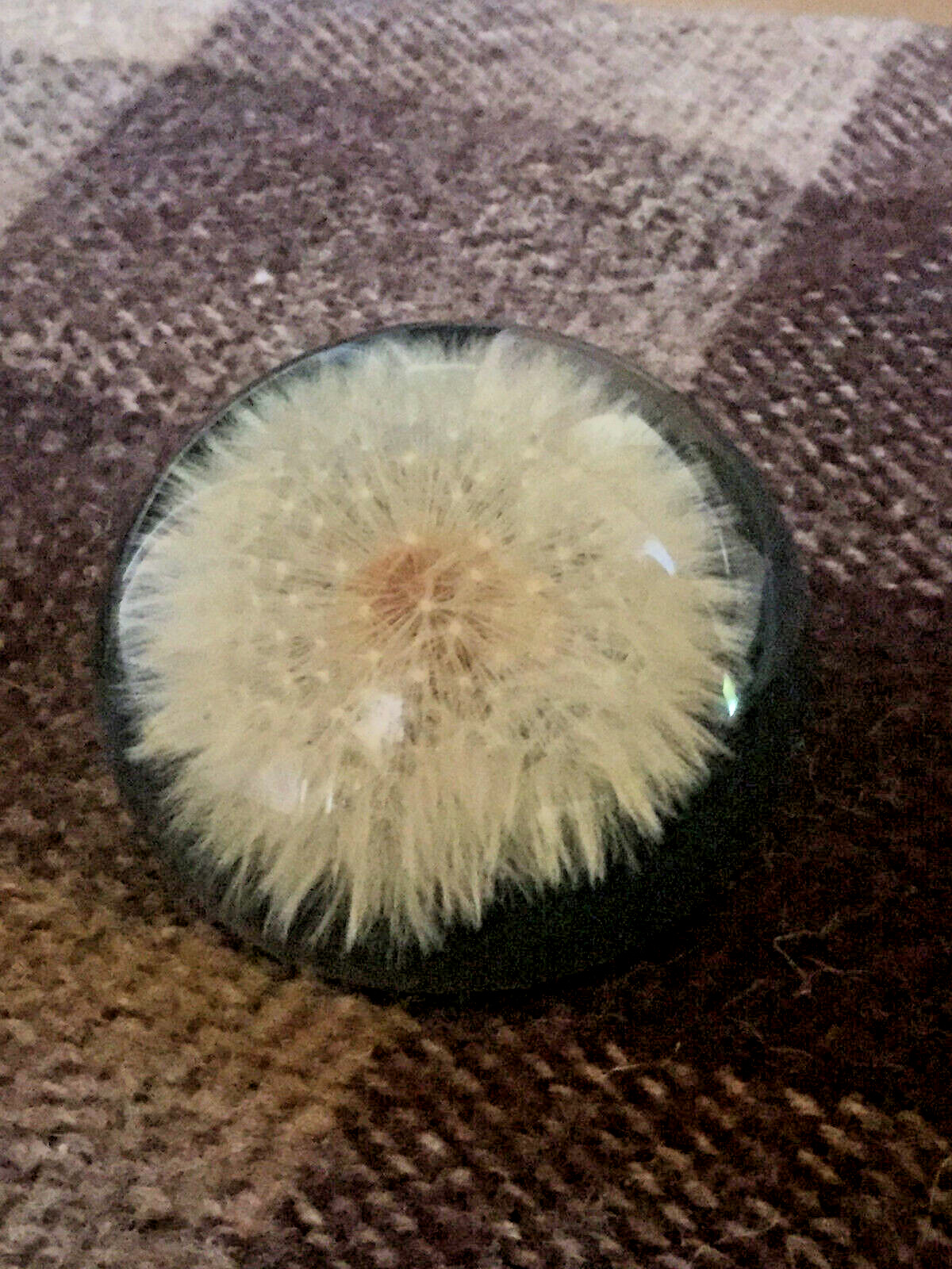 Vintage Tarax Infinity Dandelion Seed Puff Paperweight Handcrafted In Canada