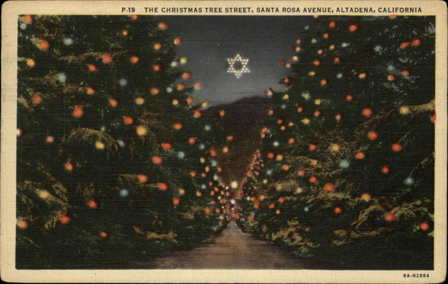 Christmas Tree Street Altadena California ~ 1937 Louis Nartz Sioux City Iowa