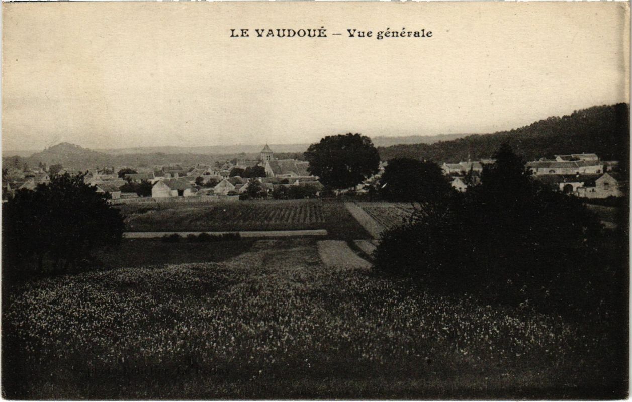 CPA Le Vaudoue - General View (1038681)