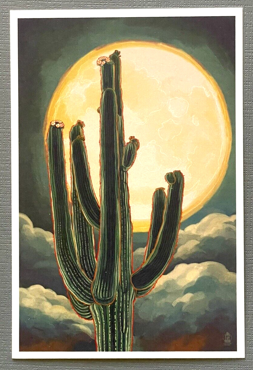 Cactus and Full Moon - Saguaro - Lantern Press Postcard