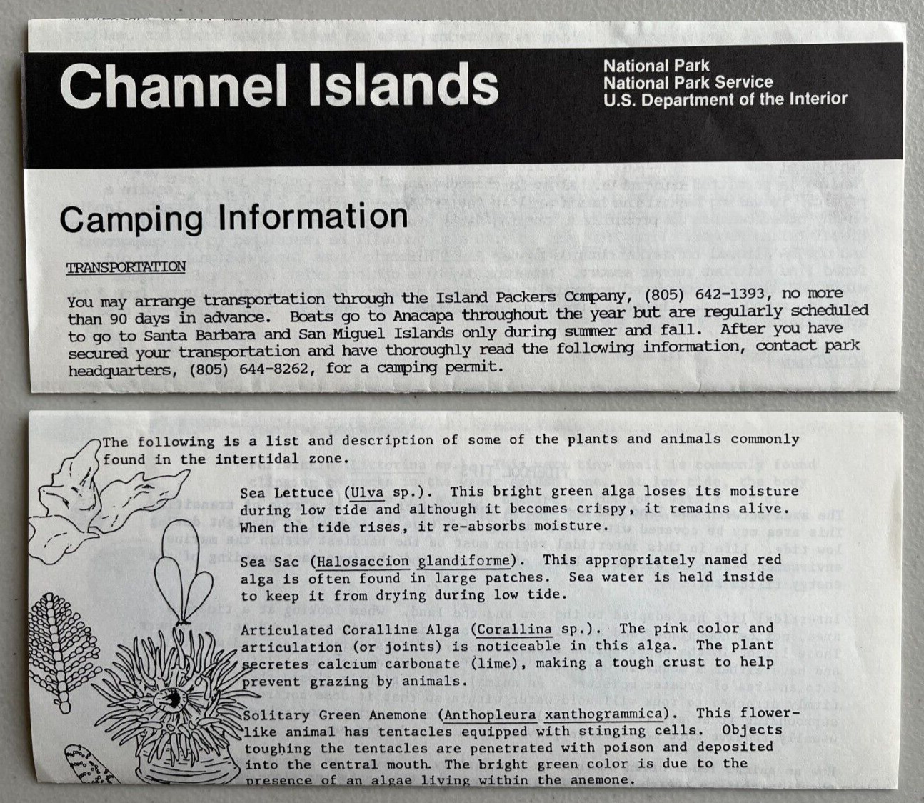 2  \'80s CHANNEL ISLANDS CAMPING/SEA LIFE  NATIONAL PARK SERVICE UNIGRID BROCHURE