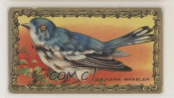 1910 ITC of Canada Game Bird Series C14 Cerulean Warbler #29 z6d